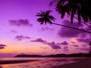 Postal: Bellos colores en la playa con la llegada del ocaso