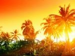 El sol detrás de las palmeras