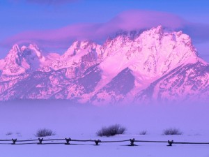 Postal: Montañas nevadas teñidas de un suave color rosa