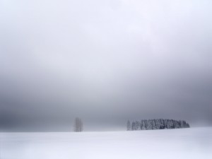 Postal: Niebla sobre la nieve