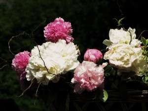Postal: Peonías blancas y rosas en una cesta decorativa