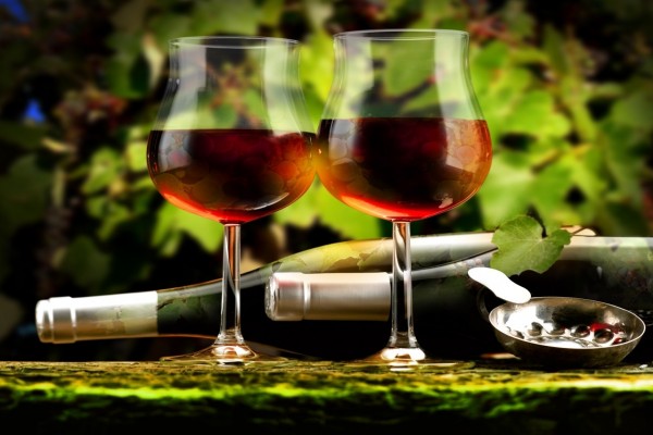 Dos botellas y dos copas de un excelente vino tinto