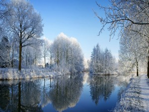 Postal: Árboles cubiertos de nieve reflejados en el río