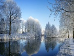 Árboles cubiertos de nieve reflejados en el río