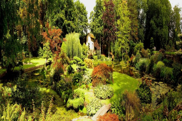 Jardín japonés en el castillo de Courances (Francia)