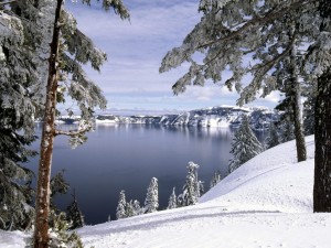 Postal: Nieve junto al lago