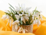 Cesta con extraordinarias y delicadas flores blancas