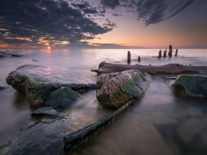 Postal: Grandes troncos y piedras en el mar