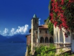 Herminta de Santa Caterina del Sasso ( Lago Maggiore, Italia)