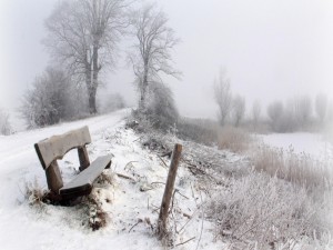Un banco de madera en un lugar cubierto de nieve