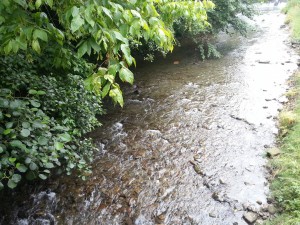 Río casi sin agua en verano
