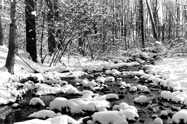 Piedras en el río cubiertas de nieve
