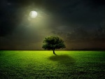 Un solitario árbol bajo la luz de la luna