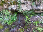 Un chorro de agua fluye entre las rocas