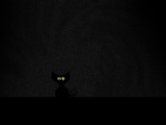 Un gatito negro en la oscuridad