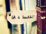 ¡La vida es bella!