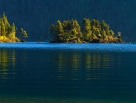 Árboles en las isletas del lago