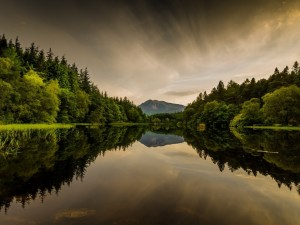 Árboles reflejados en las tranquilas aguas del lago