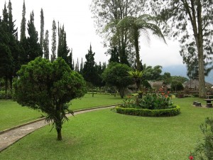 Árboles en un jardín de Pura Ulun Danu Bratan (Bali)