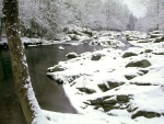 Nieve cubriendo las orillas del río