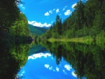 Cielo y árboles reflejados en las limpias aguas del río
