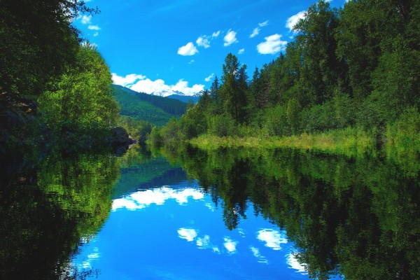 Cielo y árboles reflejados en las limpias aguas del río