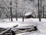 Una cabaña en el bosque nevado