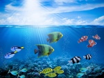 Vistosos peces de colores en el fondo del mar