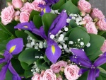 Bello ramo de rosas e iris