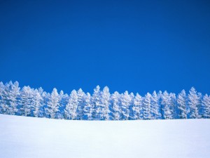 Paisaje nevado y el contraste de un bonito cielo azul