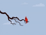 Un pájaro rojo posado en la rama
