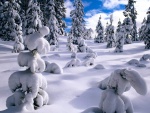 Pinos vencidos por la gran cantidad de nieve en sus ramas