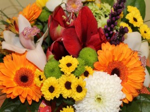 Postal: Elegantes flores de diversos colores