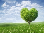 Árbol en forma de corazón en un prado verde