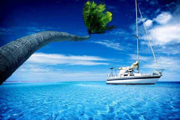 Gran palmera y un barco en el mar
