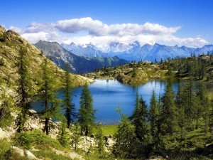 Postal: Un pequeño lago entre pinos y montañas