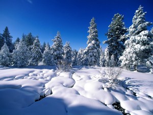 Postal: Cielo azul tras una gran nevada