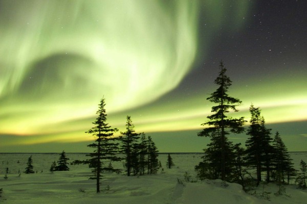 Espectacular aurora boreal sobre un campo nevado