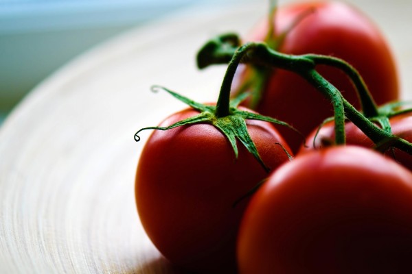 Tomates en rama bien maduros