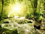 El brillo del sol en un río caudaloso