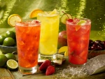 Refrescantes bebidas de frutas
