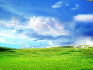 Windows 7 sobre la hierba