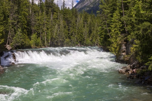 Una pequeña cascada en el gran río del bosque