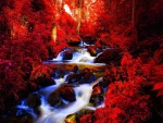 Río en el bosque rojo