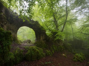 Postal: Sensacional arco de piedra en el bosque