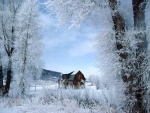 Una casa solitaria en la nieve