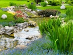 Un arroyo en un hermoso jardín