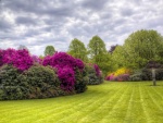 Jardín con espléndidas azaleas y árboles