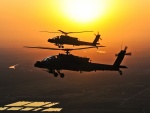 Helicópteros de las Fuerzas Armadas de los EE.UU. volando al atardecer