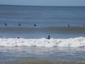 Postal: Surfistas en Playa Brava (Uruguay)